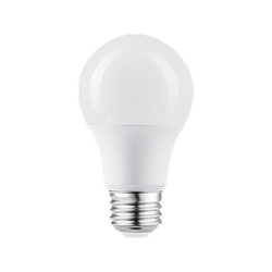 Ampoule DEL A19 9W E26